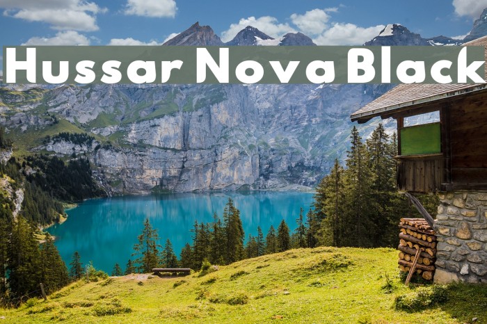 Hussar Nova Black Polices examples