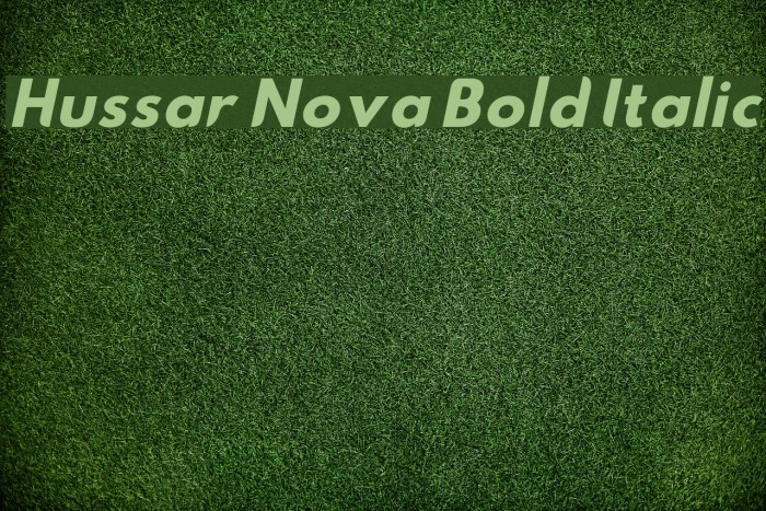 Hussar Nova Bold Italic Font examples