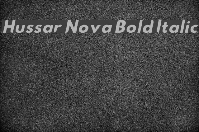 Hussar Nova Bold Italic Polices examples