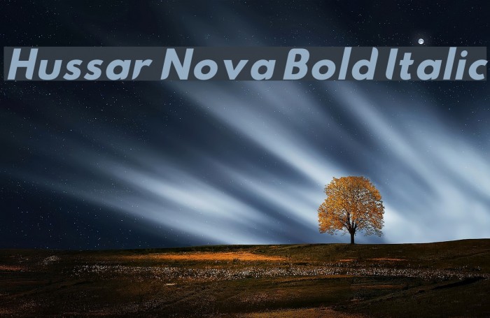 Hussar Nova Bold Italic Font examples