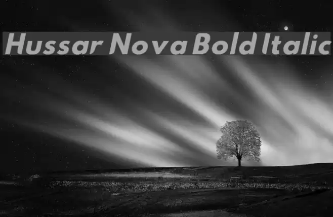 Hussar Nova Bold Italic Polices examples