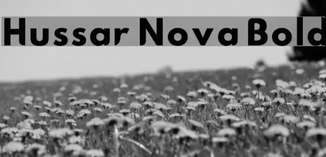 Hussar Nova Bold Font examples