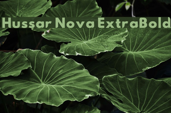 Hussar Nova ExtraBold Font examples