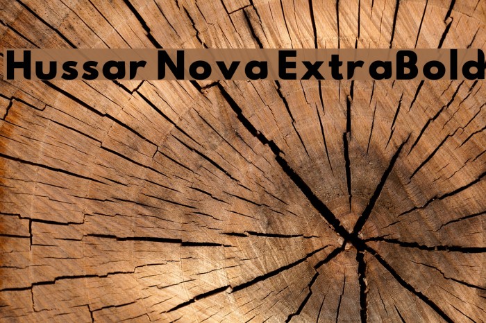 Hussar Nova ExtraBold Font examples