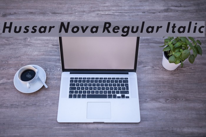 Hussar Nova Regular Italic Font examples