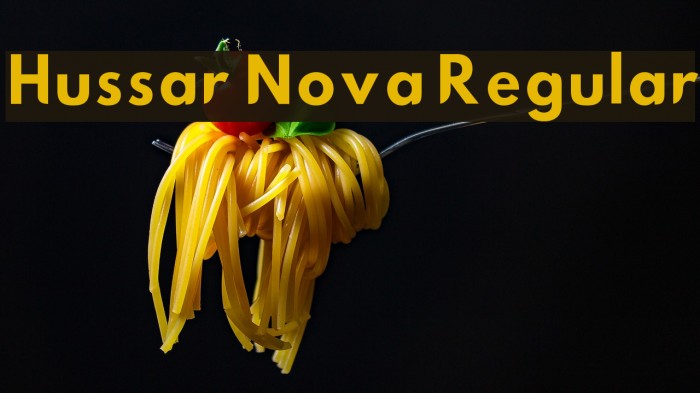 Hussar Nova Regular Font examples