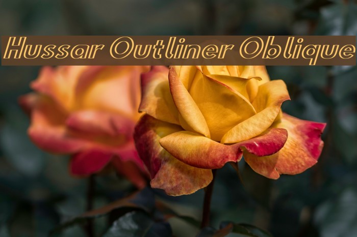 Hussar Outliner Oblique Font examples