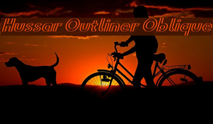 Hussar Outliner Oblique Font examples