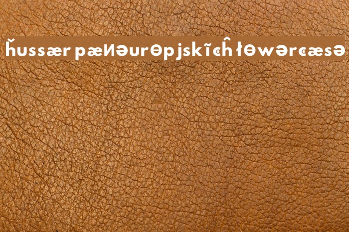 Hussar Paneuropjskich Lowercase Font examples