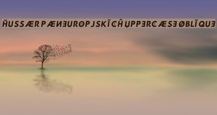 Hussar Paneuropjskich Uppercase Oblique Example 1