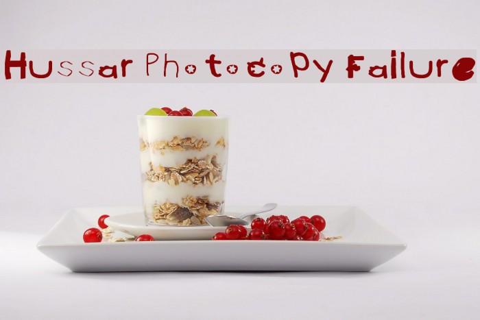 Hussar Photocopy Failure Font examples