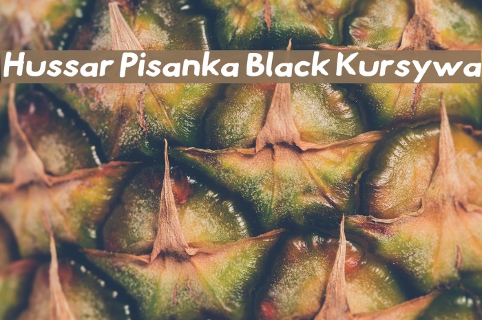 Hussar Pisanka Black Kursywa Font examples