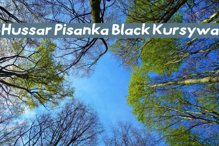 Hussar Pisanka Black Kursywa Font examples