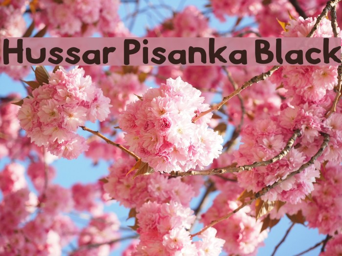 Hussar Pisanka Black Font examples