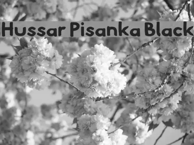 Hussar Pisanka Black Font examples
