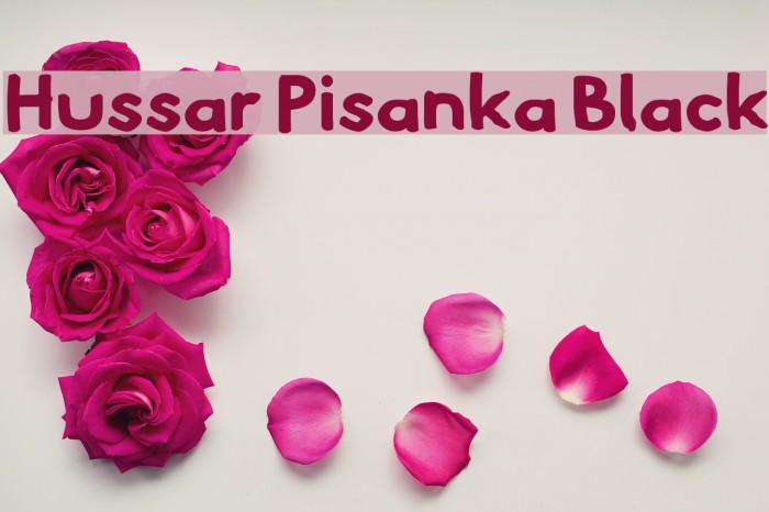 Hussar Pisanka Black Font examples