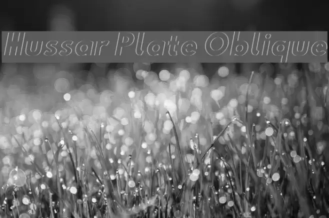 Hussar Plate Oblique Font examples