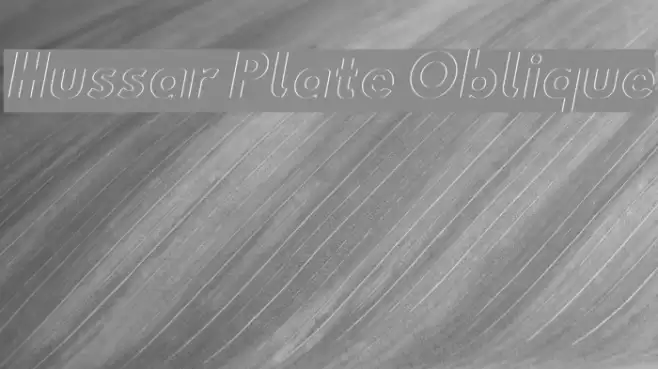 Hussar Plate Oblique Font examples