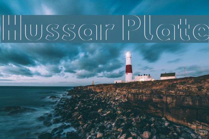 Hussar Plate Example 1