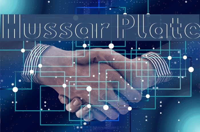 Hussar Plate Example 3