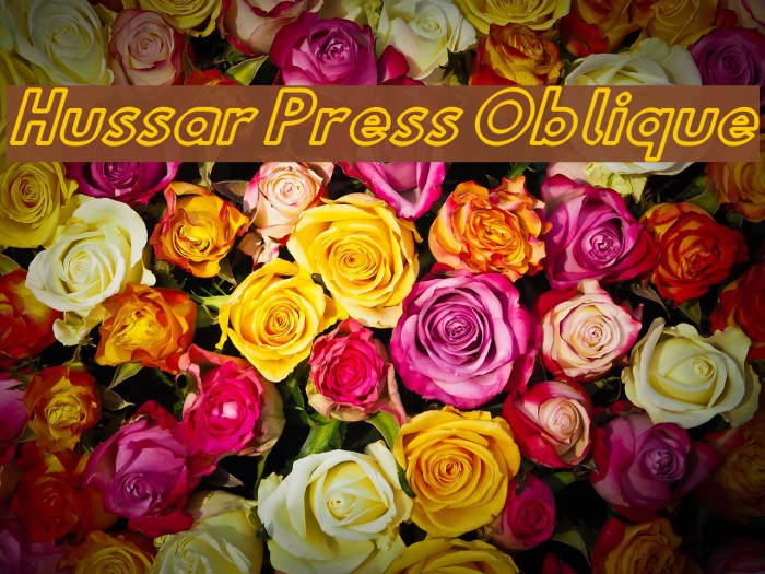 Hussar Press Oblique Font examples