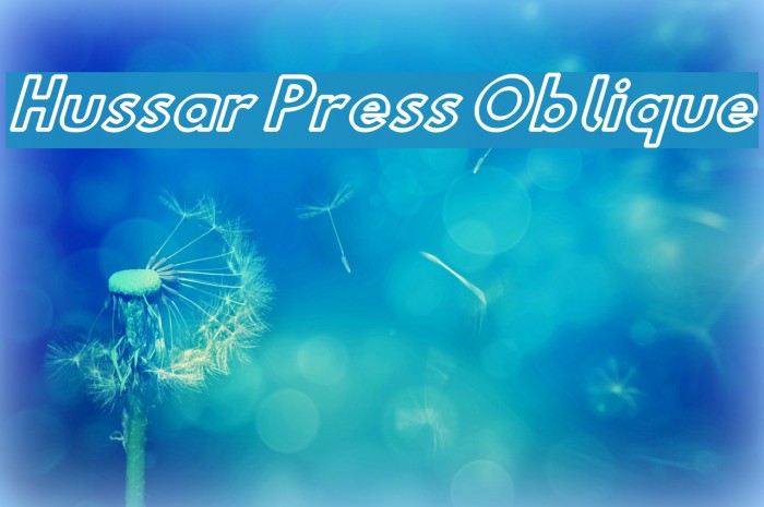 Hussar Press Oblique Font examples