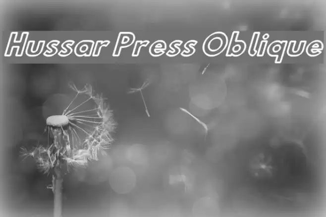 Hussar Press Oblique Fonte examples
