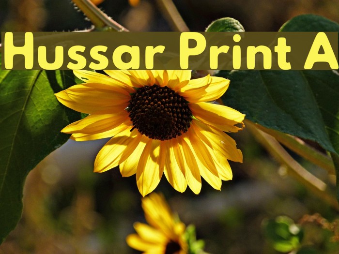Hussar Print A Font examples