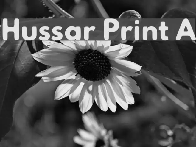 Hussar Print A  examples