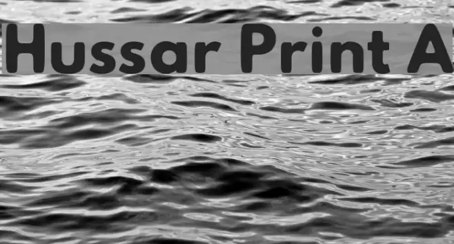 Hussar Print A  examples