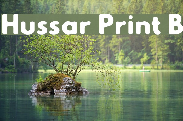 Hussar Print B Font examples