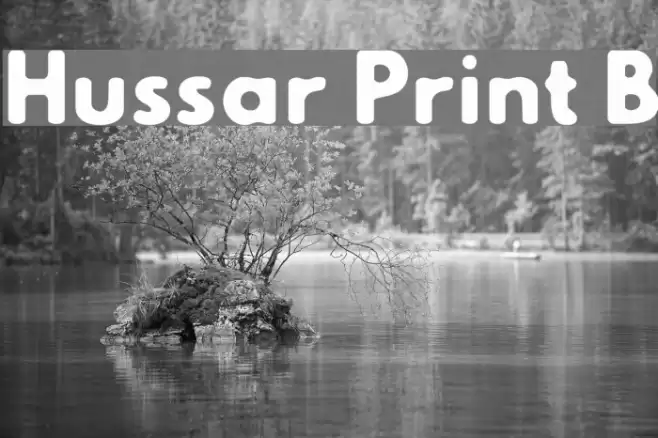 Hussar Print B Font examples