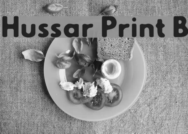 Hussar Print B Font examples