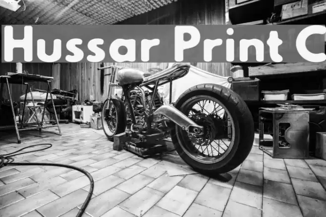 Hussar Print C Fonte examples