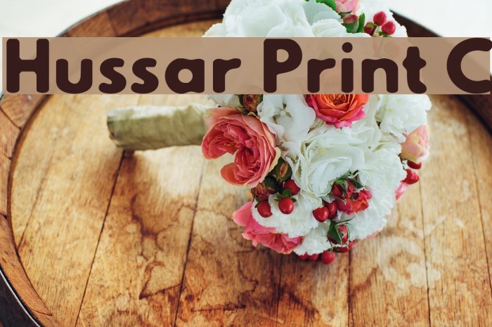 Hussar Print C Font examples
