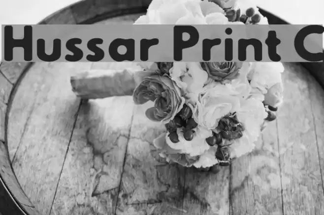 Hussar Print C Fonte examples