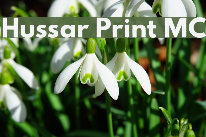 Hussar Print MC Font examples