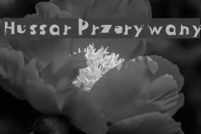 Hussar Przerywany Font examples