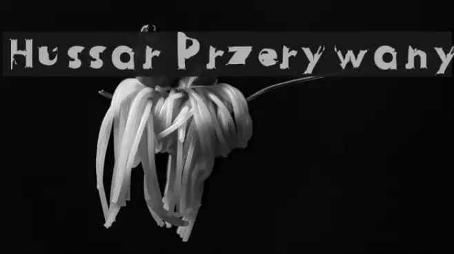 Hussar Przerywany Font examples