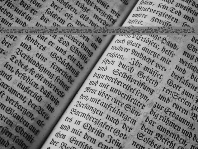 Hussar Simple Condensed Ghost OppositeOblique 3 examples