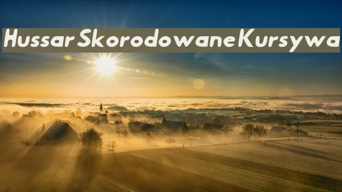 Hussar Skorodowane Kursywa Font examples