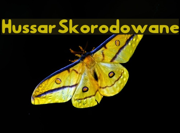Hussar Skorodowane Font examples