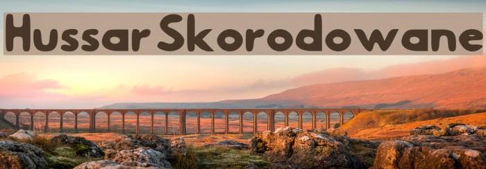 Hussar Skorodowane Font examples