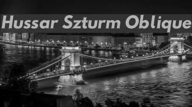 Hussar Szturm Oblique フォント examples