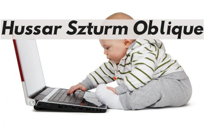 Hussar Szturm Oblique Font examples