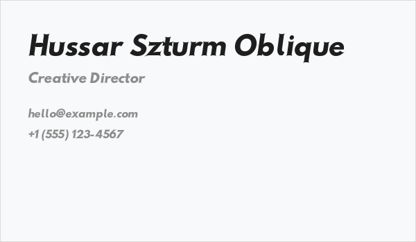 Hussar Szturm Oblique Business Card