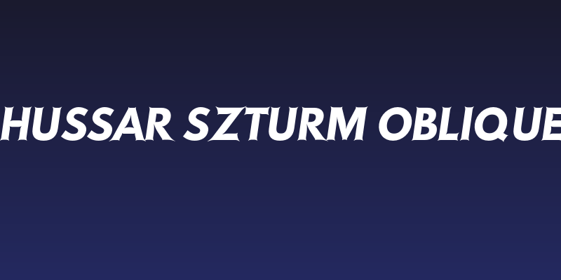 Hussar Szturm Oblique Social Header