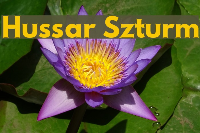 Hussar Szturm Example 1