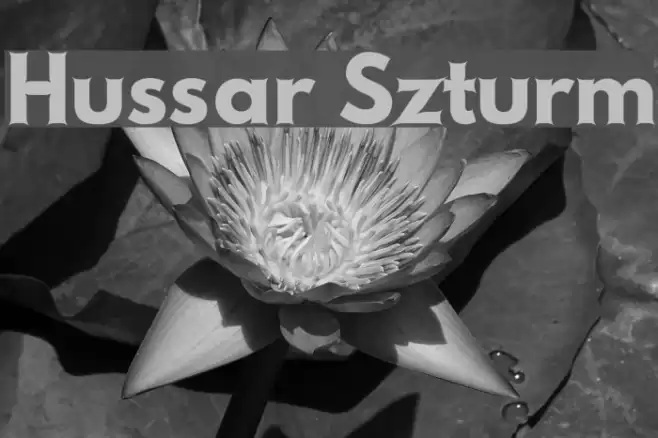Hussar Szturm Font examples