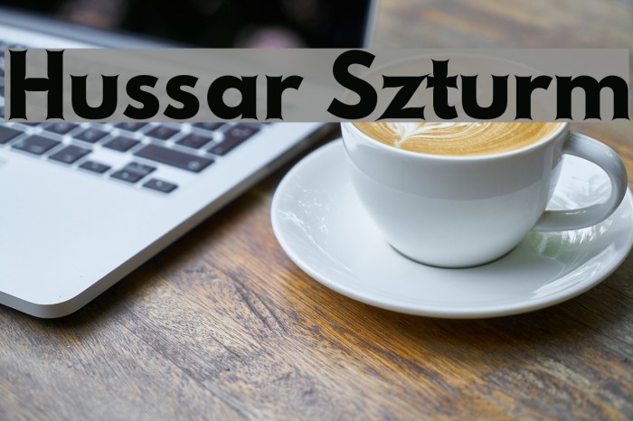 Hussar Szturm Example 2